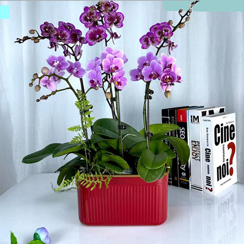 Flowerpot
